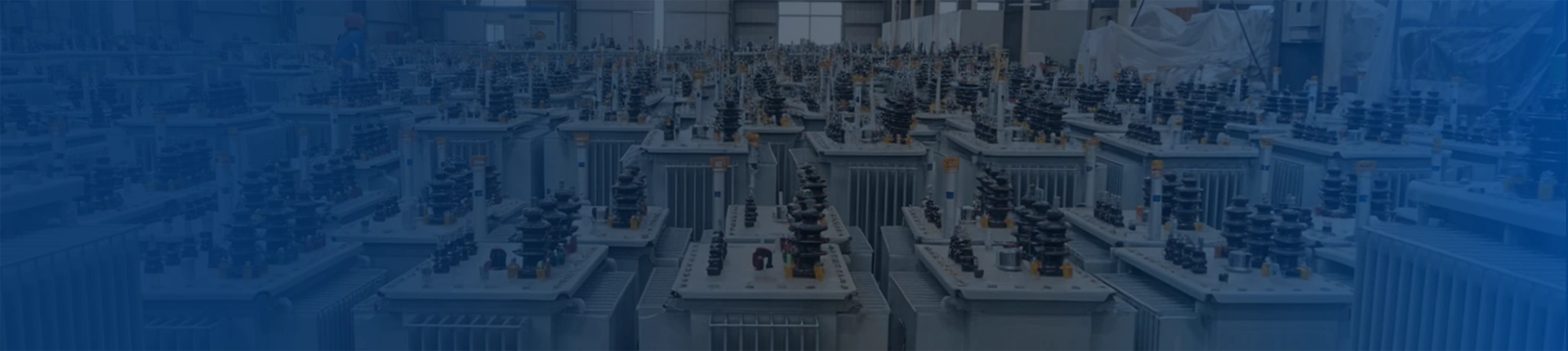 Privacy Policy-banner