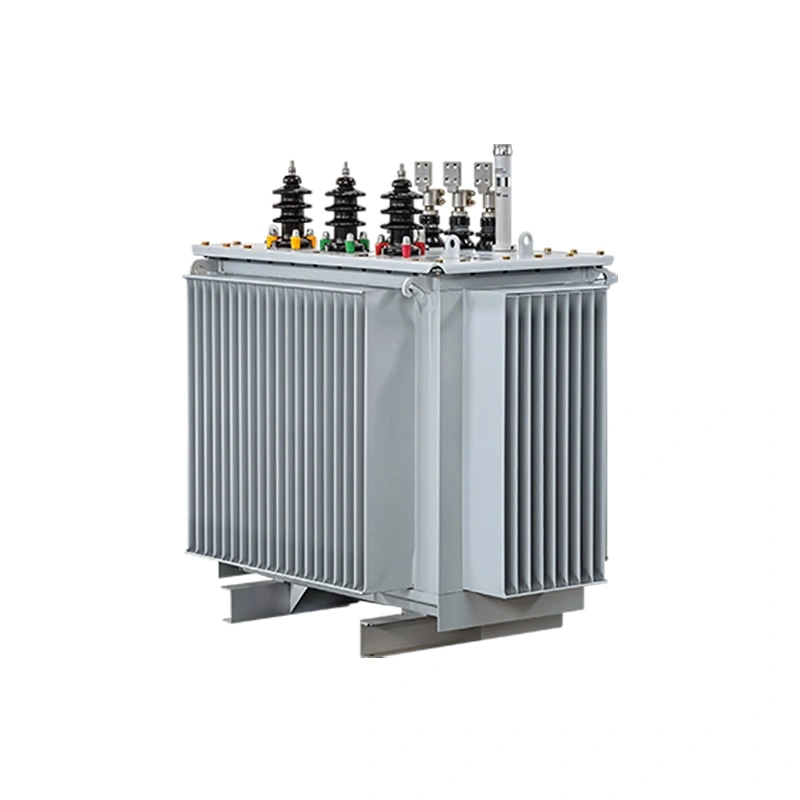 6.6kV/KS9 Oil-immersed transformer
